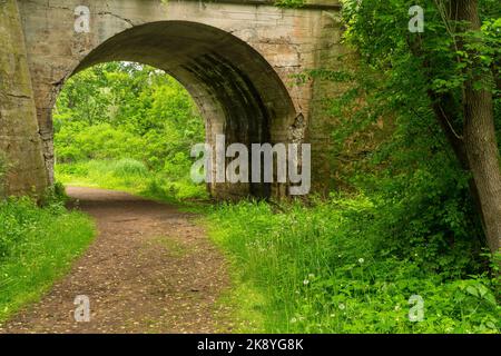 Ein Wanderweg, der durch eine Bogenbrücke im Wald führt. Stockfoto