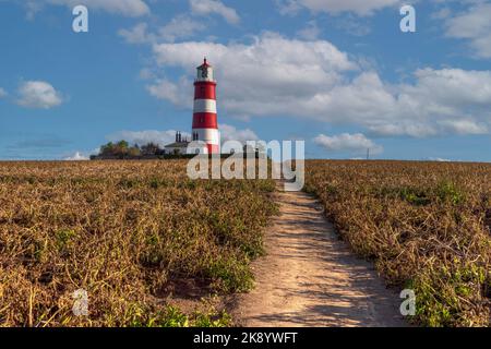 Happisburgh, Norfolk, England, Vereinigtes Königreich Stockfoto