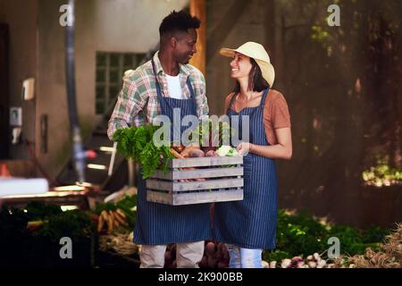 Es war eine gute Ernte für uns bisher. Ein glückliches junges Paar trägt eine Kiste voll frisch gepflücktes Gemüse auf ihrem Bauernhof. Stockfoto