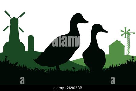 Enten grasen auf der Weide. Bildsilhouette. Haustiere auf dem Bauernhof. Hausgeflügel. Ländliche Landschaft mit Bauernhaus. Isoliert auf weißem Hintergrund. Vektor. Stock Vektor