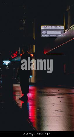 Neon Nachtleben auf den Straßen. Helle Neonschilder, die auf der nassen/regnerischen Straße spiegeln. Neonschilder, die die Silhouette einer Person schaffen. Stockfoto