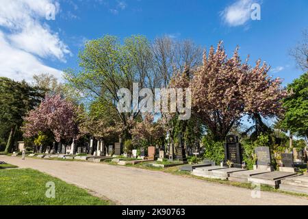 WIEN, ÖSTERREICH - APR 26, 2015: Blick auf den Wiener Zentralfriedhof, den Ort, an dem berühmte österreicher begraben werden. Der Friedhof wurde eingeweiht Stockfoto