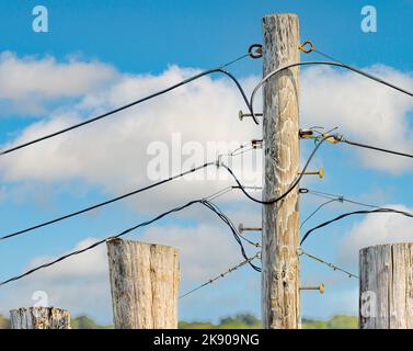 detail image of the top of a utility pole Stockfoto