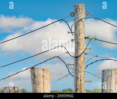 Detailbild der Oberseite eines Pfostens Stockfoto