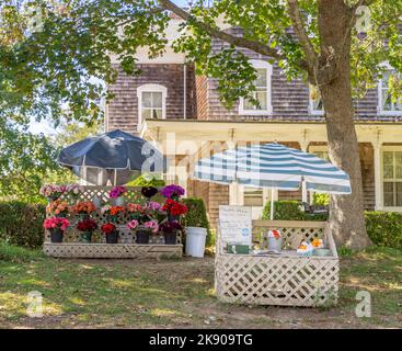 Bridgehampton Farmstand, der frische Schnittblumen verkauft Stockfoto