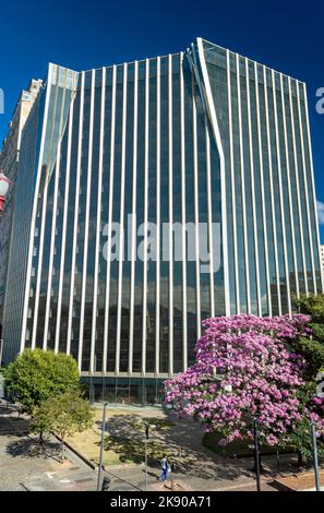 Rosa Ipe Baum vor einem Gebäude auf der Avenue of Andradas in der Stadt Belo Horizonte Stockfoto