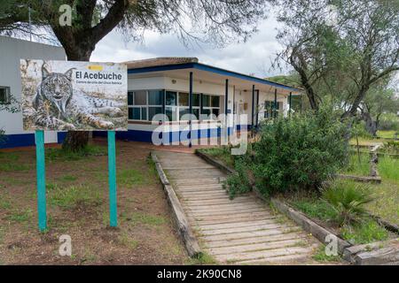 Centro de Cría del Lince IbéricoEl Acebuche, Nationalpark Donana, Andalusien, Spanien. Stockfoto