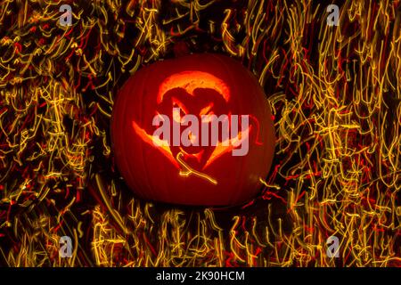 Kürbis mit dracula Gesichtsdesign - geschnitzter Kürbis umgeben von Lichtpfaden mit Lichtmalerei für Halloween - Jack O Laterne Stockfoto