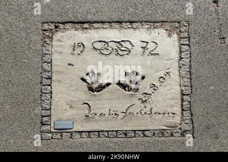 MÜNCHEN, DEUTSCHLAND - 28. NOV 2016: Namen und Handdrucke von Sternen auf dem Munich Walk of Fame im Olympiapark. Stockfoto