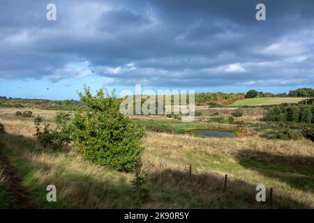 Blick über das Daisy Hill Nature Reserve bei Herbstsonne Stockfoto