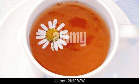 Eine Nahaufnahme, eine weiße Tasse mit Tee, eine Gänseblümchen-Blume, die darauf schwebt. Hochwertige Fotos Stockfoto