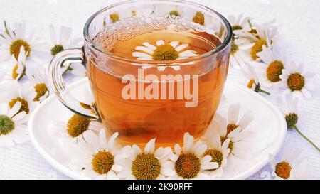 Nahaufnahme, transparente, gläserne Tasse mit Kamillentee, auf einer weißen Untertasse. Alles ist mit Kamillenblumen geschmückt. Hochwertige Fotos Stockfoto