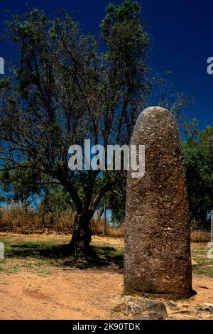 Der etwa 4 Meter (13 Fuß) hohe Almendres Menhir wies auf den Sonnenaufgang der Sommersonnenwende hin, als er von den Megalith-Ringen des etwa 1,4 km entfernten Almendres Cromlech aus gesehen wurde. Der Cromlech wurde vor etwa 7.000 Jahren in der Nähe der heutigen Stadt Évora, Alentejo Central, Portugal, gegründet. Stockfoto