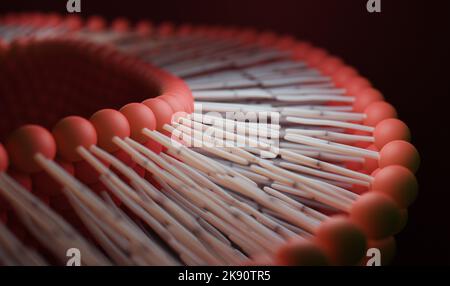 Lipid-Bilayer oder Phospholipid-Bilayer. 3D Rendern. Stockfoto