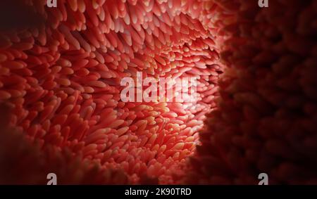 Mikrovilli auf der Oberfläche des Verdauungssystems oder des Darmtraktes. 3D Rendern. Stockfoto