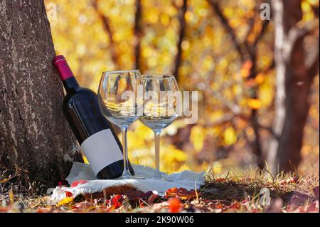 Flasche trockener Rotwein und Gläser. Sonnenlicht im Wald. Stockfoto