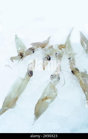 Eine vertikale Aufnahme von rohem, frischem Tintenfisch, isoliert auf weißem Hintergrund Stockfoto