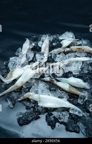 Eine vertikale Aufnahme von rohem, frischem Tintenfisch, isoliert auf einem dunklen Hintergrund Stockfoto