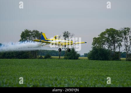 Ein Feldstauber im Flug, der über das Feld sprüht Stockfoto