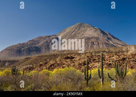 Volcan las Tres Virgenes, Baja California Sur, Mexiko Stockfoto