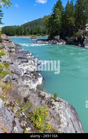 Landschaft mit felsiger Küste des Katun Flusses, vertikale Aufnahme an einem sonnigen Sommertag. Altai-Republik, Russland Stockfoto