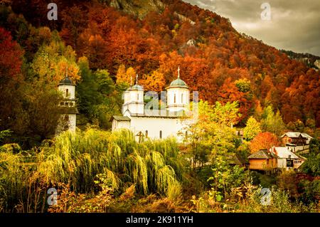Herbst im Buila Vanturarita Nationalpark, Karpaten, Rumänien. Patrunsa Einsiedelei umgeben von lebendigen Herbstfarben des Waldes. Stockfoto