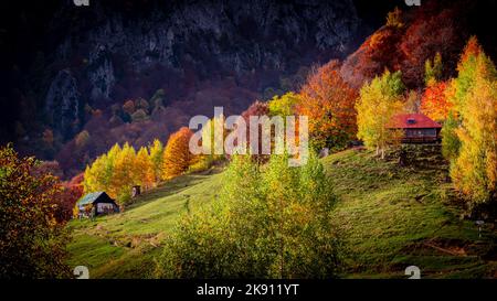 Herbst im Buila Vanturarita Nationalpark, Karpaten, Rumänien. Patrunsa Einsiedelei umgeben von lebendigen Herbstfarben des Waldes. Stockfoto