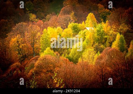 Herbst im Buila Vanturarita Nationalpark, Karpaten, Rumänien. Patrunsa Einsiedelei umgeben von lebendigen Herbstfarben des Waldes. Stockfoto