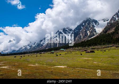 Die wunderschönen schneebedeckten Berge im Yumesamdong Tal mit flauschigen Wolken überzogen Stockfoto