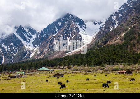 Die wunderschönen schneebedeckten Berge im Yumesamdong Tal mit flauschigen Wolken überzogen Stockfoto