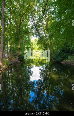 Neuer See im Tiergarten in Berlin, Deutschland Stockfoto