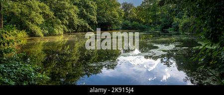 Fauler See in Tiergarten in Berlin, Deutschland Stockfoto