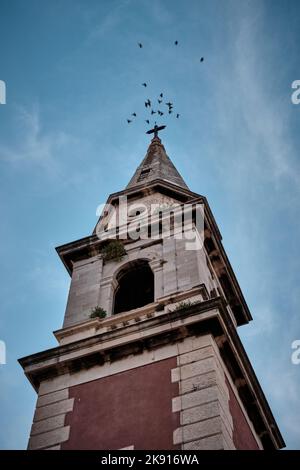 Der Glockenturm des Klosters des heiligen Franziskus von Assisi in der Altstadt von Zadar in Kroatien, umgeben von Vögeln Stockfoto