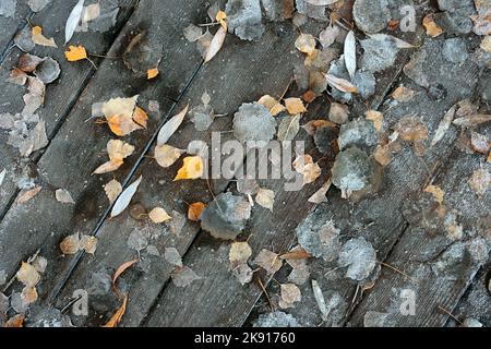 Natürlicher Hintergrund von gefrorenen Blättern auf Holzböden Draufsicht close up Stockfoto