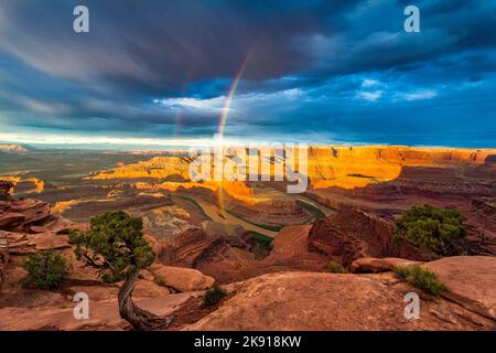 Vertikaler Doppelregenbogen über dem Goose Neck des Colorado River im Dead Horse Point State Park, Moab, Utah. Im Hintergrund sind die Bärenohren N Stockfoto