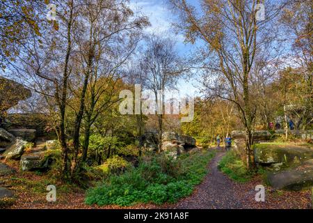 Brimham Rocks, in der Nähe von Harrogate, North Yorkshire, England, Großbritannien Stockfoto