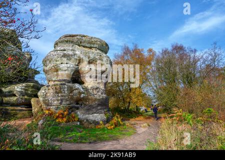 Brimham Rocks, in der Nähe von Harrogate, North Yorkshire, England, Großbritannien Stockfoto