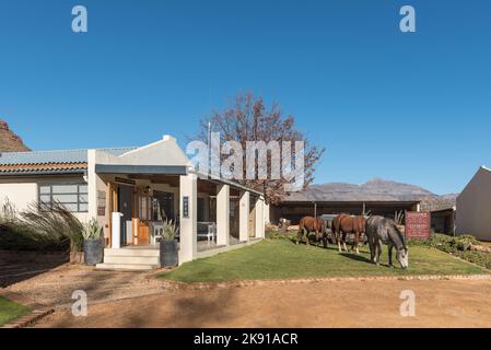 DWARSRIVIER, SÜDAFRIKA - SEP 6, 2022: Empfangsbüro für Sanddrif und Wolfberg in Dwarsrivier am Westkap Cederberg. Pferde sind sichtbar Stockfoto