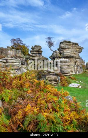 Brimham Rocks, in der Nähe von Harrogate, North Yorkshire, England, Großbritannien Stockfoto