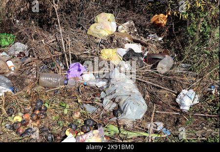 Landverschmutzung durch Plastikbeutel und -Flaschen. Plastikmüll im Wald. Ökologische Probleme und Umweltverschmutzung Stockfoto