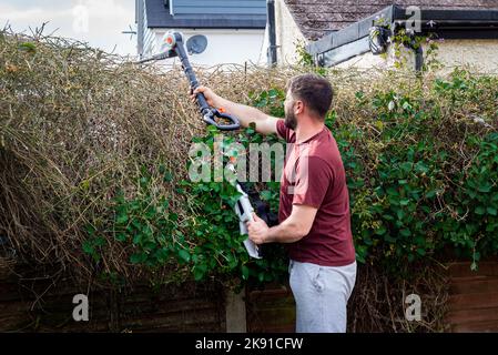 Der Gärtner, der Hecken schneidet, reicht über eine hohe Hecke mit Clippern, um hohe Zweige und Äste zu schneiden. Stockfoto