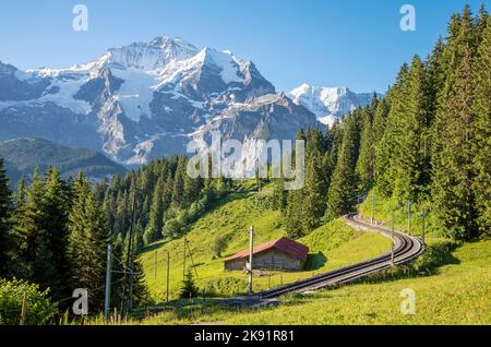 Die Jungfrau paek in den Berner alpen mit der Bahn über die alpenwiesen. Stockfoto