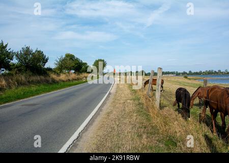 Auf der Insel Poel, Richtung Kirchdorf, DEUTSCHLAND Stockfoto