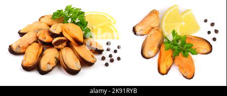 Muschel mit Petersilienblatt-Pfefferkörnern und Zitrone isoliert auf weißem Hintergrund Stockfoto