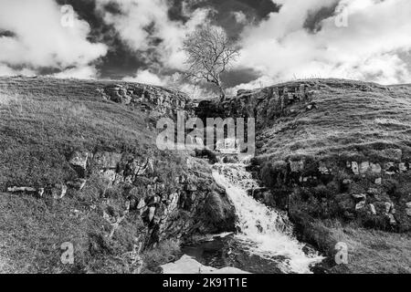 Blick auf einen einfarbigen Baum über einem Wasserfall in der Upper Wharfedale Area der Yorkshire Dales, aufgenommen in Cray. Stockfoto