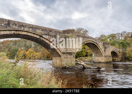Der schnell fließende River Wharfe führt unter der Barden Bridge im Herzen der Yorkshire Dales, die im Herbst 2022 abgebildet wurde. Stockfoto