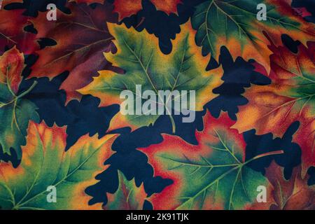 Rote, grüne und gelbe Blätter mit einem schwarzen strukturierten Hintergrund. Stockfoto