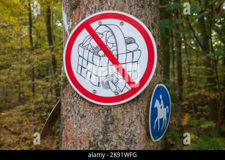 Schild, das die Pilzernte im Naturschutzgebiet Königsforst verbietet Stockfoto