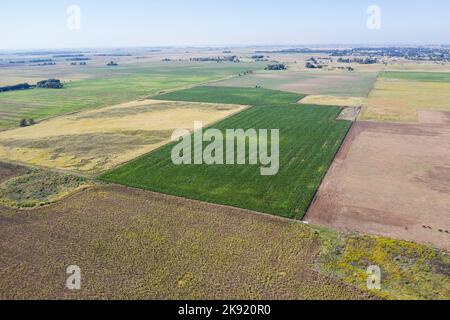 Luftaufnahme des Säfeldes in der argentinischen Landschaft, Provinz Pampas, Patagonien, Argentinien. Stockfoto