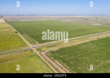 Luftaufnahme des Säfeldes in der argentinischen Landschaft, Provinz Pampas, Patagonien, Argentinien. Stockfoto